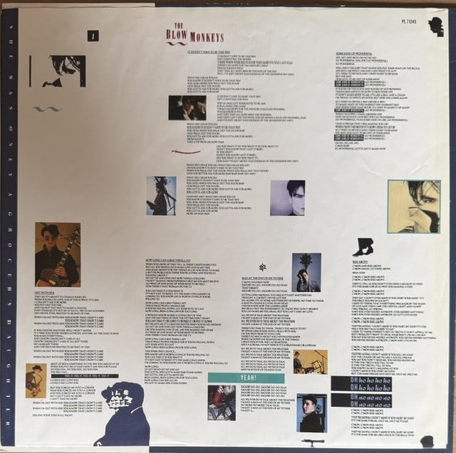 The Blow Monkeys: Dr Robert Signed "She Was Only the Grocer's Daughter" LP Album (Third Party) - 3
