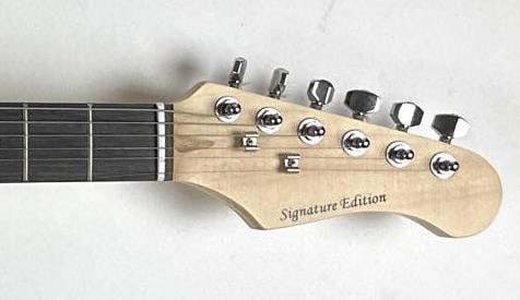 Willie Nelson Custom Graphics Signature Edition Telecaster-Style Guitar (JSA Authentication) - 3