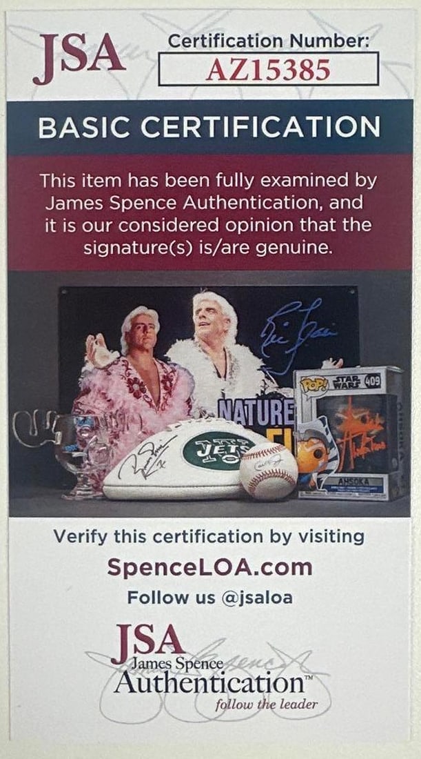 Lindsey Stirling Signed "The Only Pirate at the Party" Book (JSA Authentication) - 4