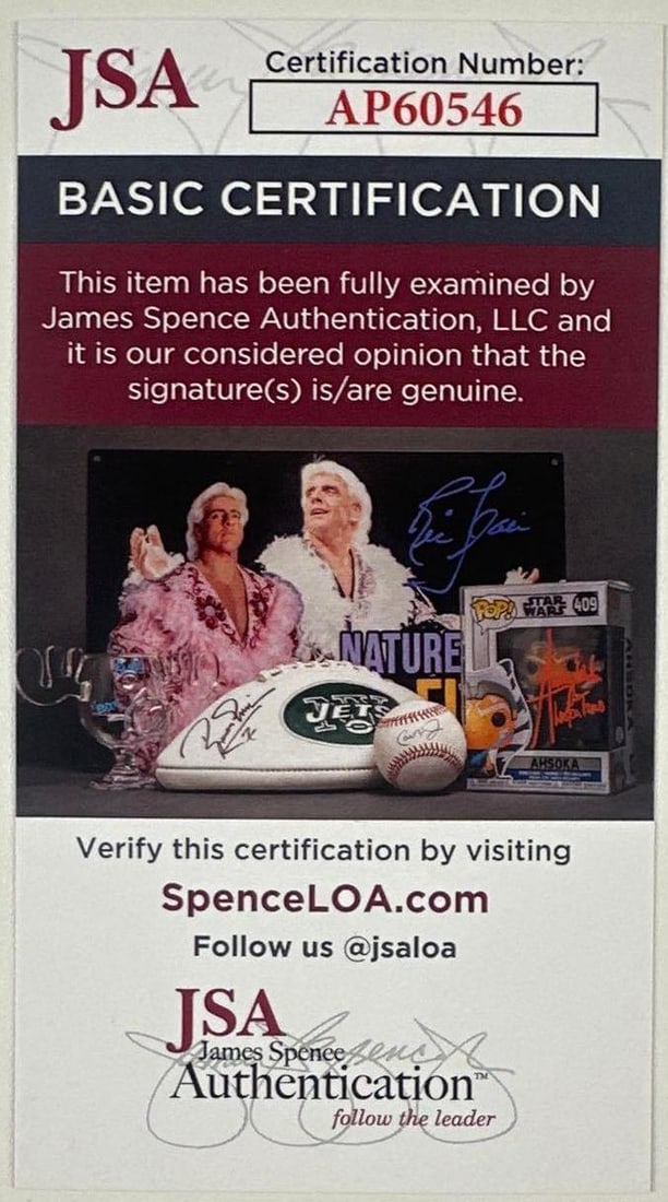 Glass Animals Fully Group Signed "Dreamland" Album (4 Sigs) (JSA Authentication) - 4
