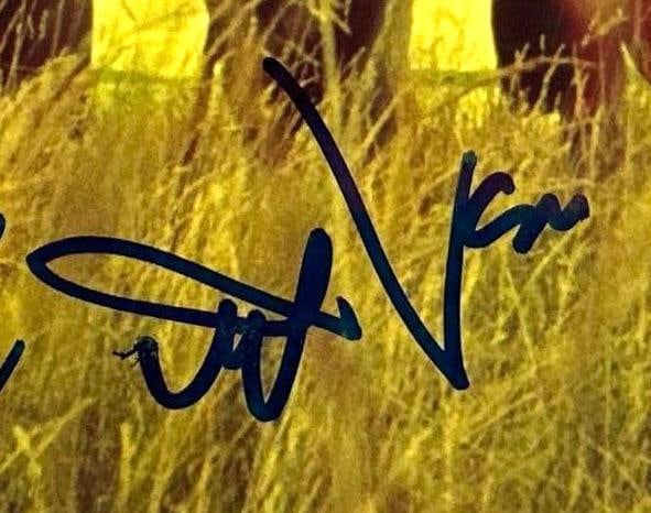 Pearl Jam Fully Group Signed 8" x 10" Photo (5 Sigs) (Beckett Authentication) - 5