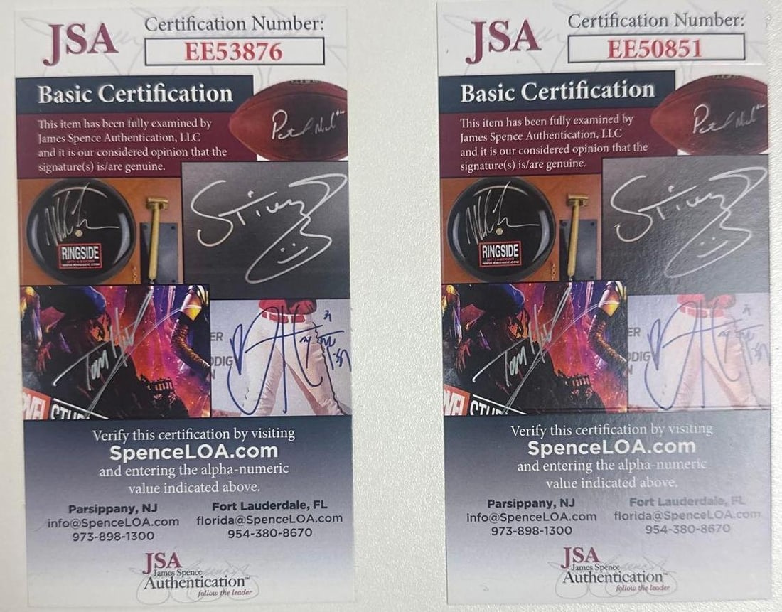 Group Lot of (6) Signed Stratocaster-Style Pickguards (JSA & PSA/DNA) - 9