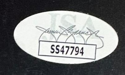 Buckethead Signed "Bucketheadland" Album (JSA Authentication) - 3
