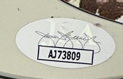 Fleetwood Mac: Lindsey Buckingham Signed "Rumors" Graphics Stratocaster-Style Guitar (JSA) - 3