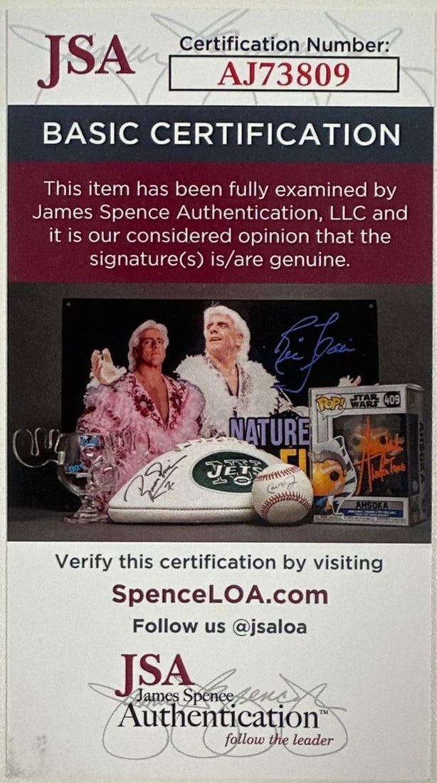 Fleetwood Mac: Lindsey Buckingham Signed "Rumors" Graphics Stratocaster-Style Guitar (JSA) - 4