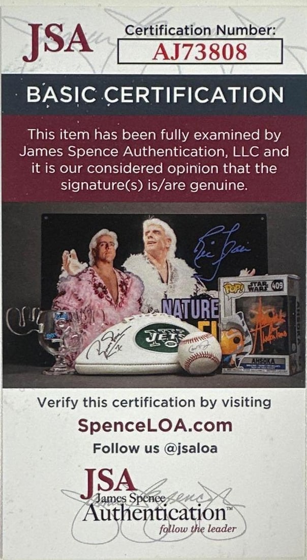 Fleetwood Mac: Lindsey Buckingham Signed "Rumors" Custom Graphics Strat-Style Guitar (JSA) - 4