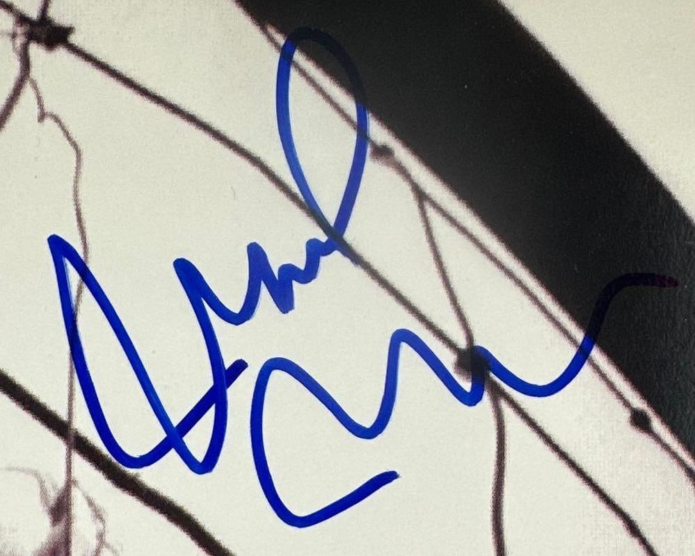 Pearl Jam Fully Group Signed "Vs." Album (5 Sigs) (JSA Authentication) - 4