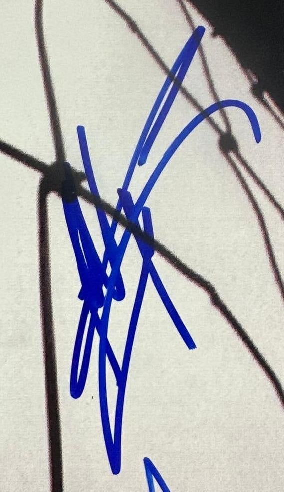 Pearl Jam Fully Group Signed "Vs." Album (5 Sigs) (JSA Authentication) - 5