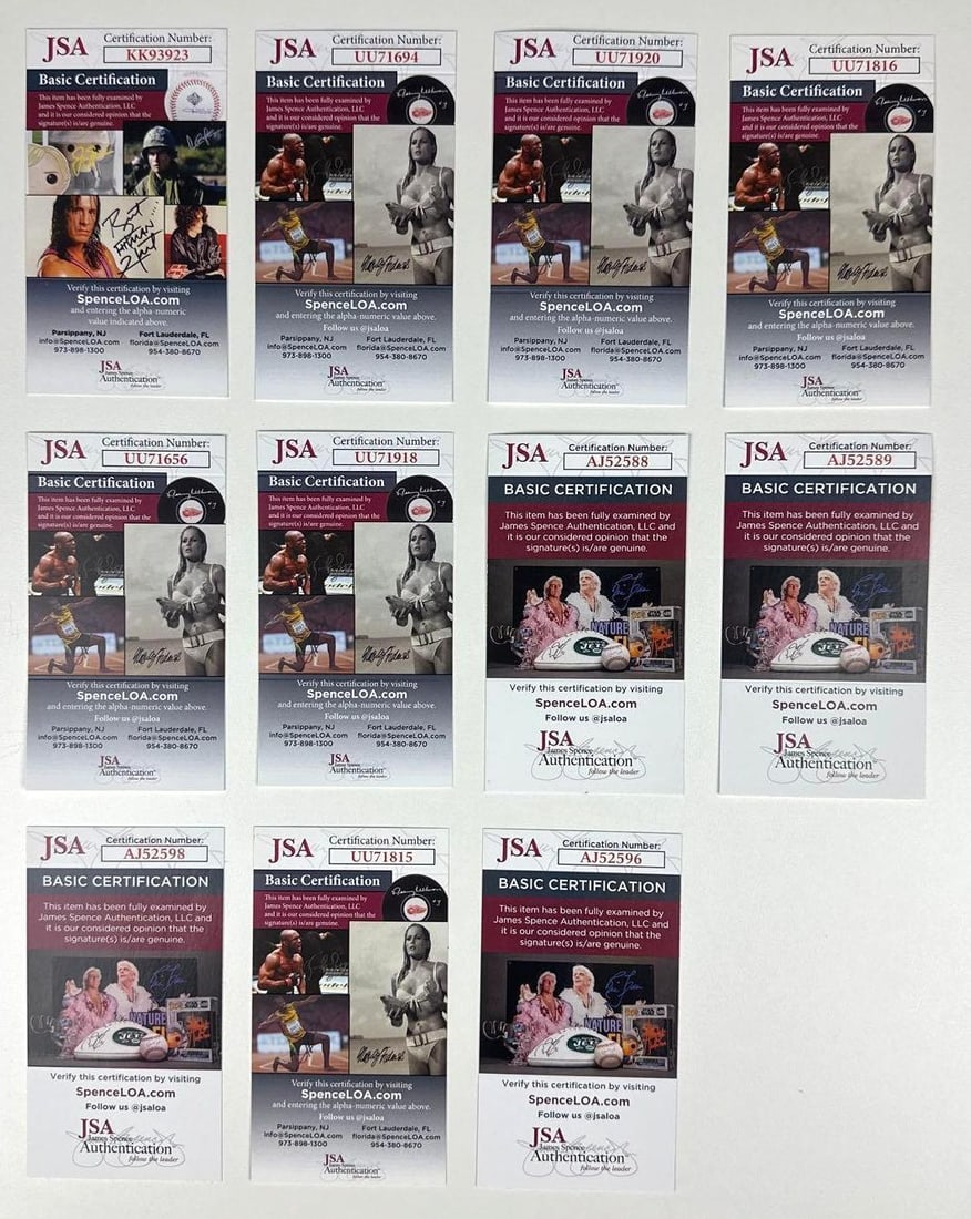 Signed Pickguards Lot (15) Johnny Winter, Steve Winwood, Kevin Shields, Eurythmics (JSA/Beckett) - 5