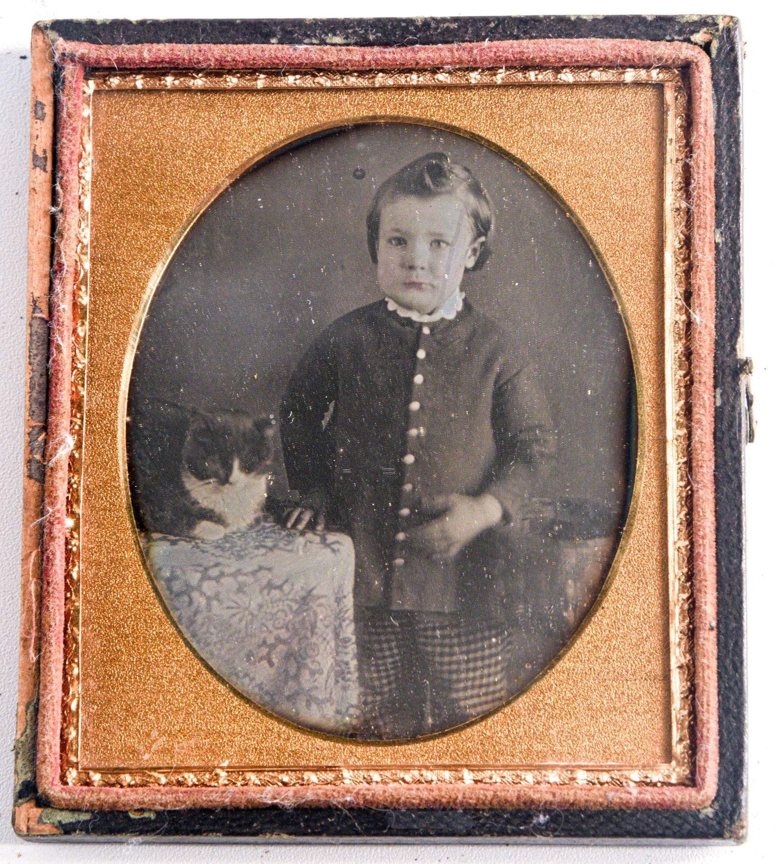 Sixth Plate Daguerreotype of a Boy with a Cat (1 of 1)