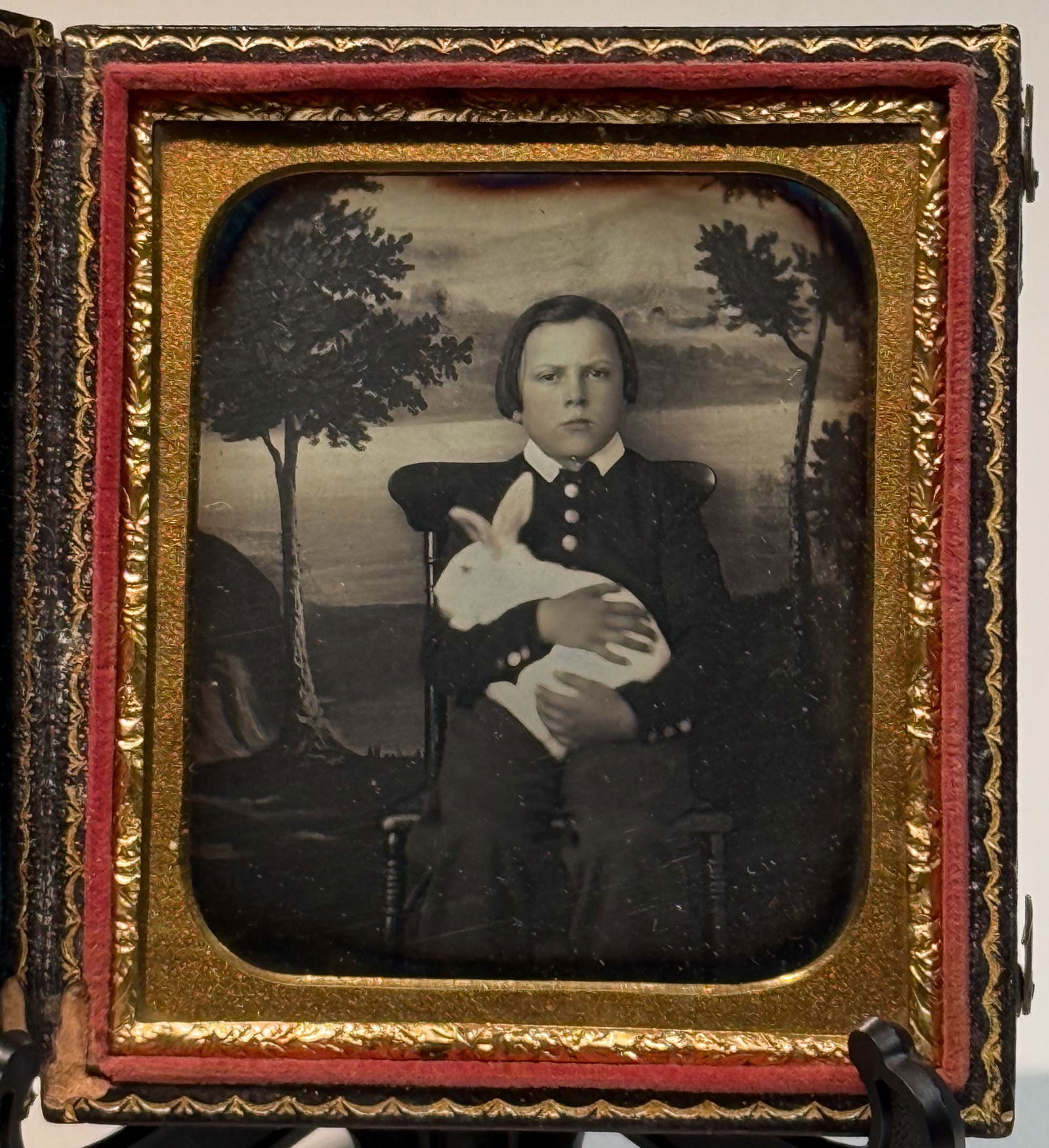 Daguerreotype Portrait of Boy Holding Large White Rabbit: Sixth plate daguerreotype studio portrait depicting a young boy seated and holding a large white rabbit in his arms. The image is presented in a full gilt brass mat and preserver and housed in a leath