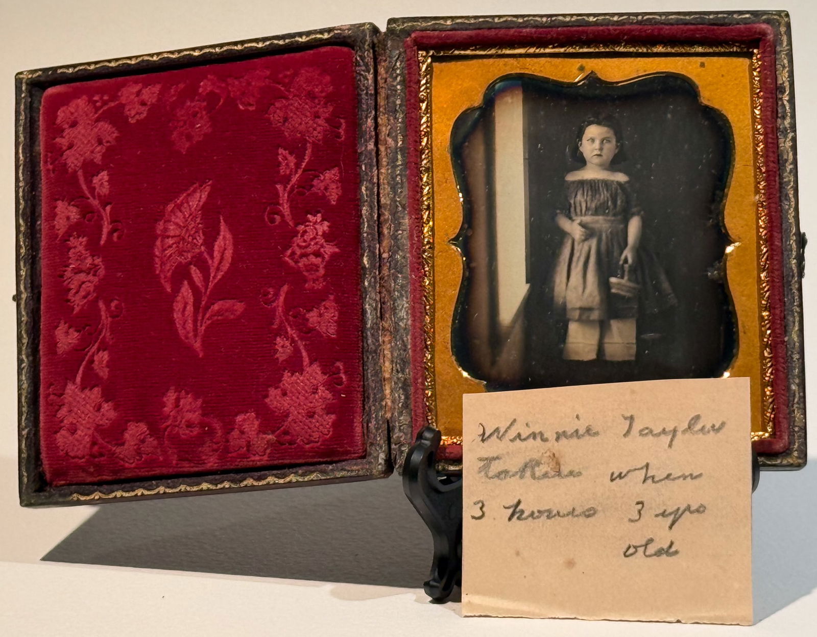 Daguerreotype Portrait of Young Girl by Window with Basket (1 of 4)