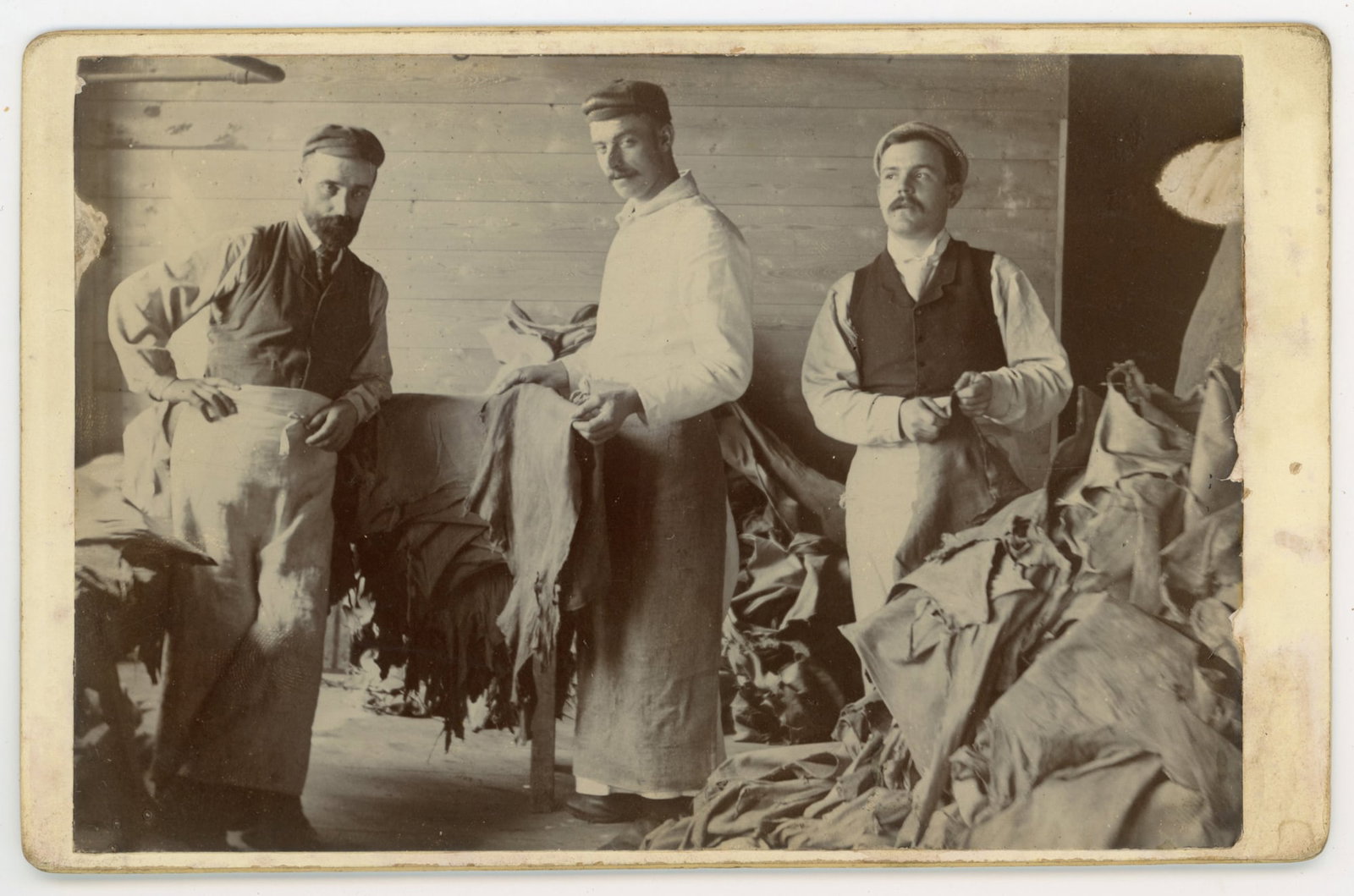 Occupational Cabinet Card Tannery Workers Handling Hides: Cabinet card photograph showing three men standing inside a workshop surrounded by piles of hides. The workers wear caps, aprons, and work clothing and hold pieces of leather or animal hides, indicati
