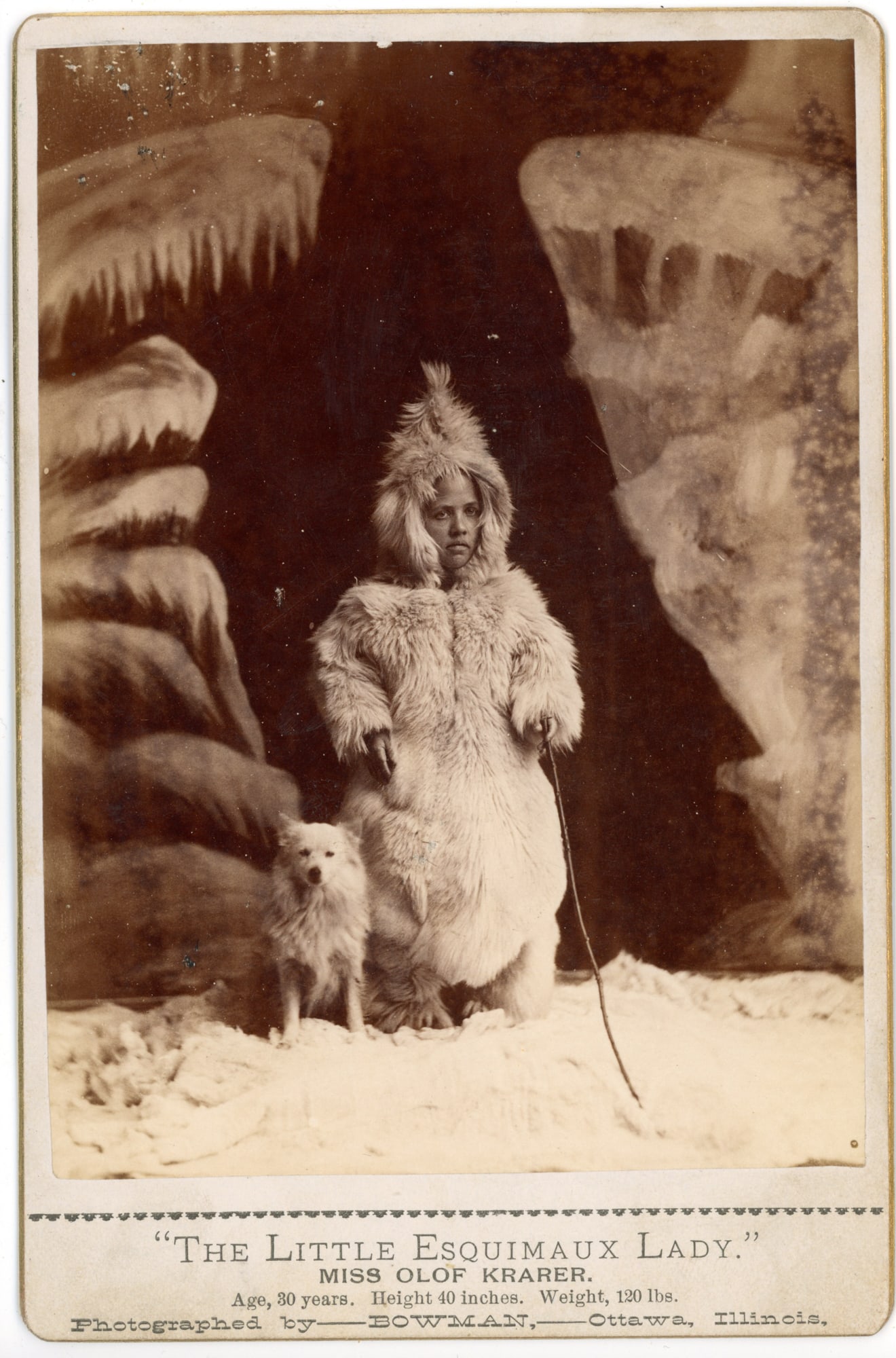 Cabinet Card “Little Esquimaux Lady?? Miss Olof Krarer e: Cabinet card photograph depicting Miss Olof Krarer, identified in the printed caption as “The Little Esquimaux Lady.” Krarer is shown standing in a staged Arctic scene wearing a heavy fur park