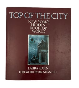 Top of the City, by Laura Rosen. 1982