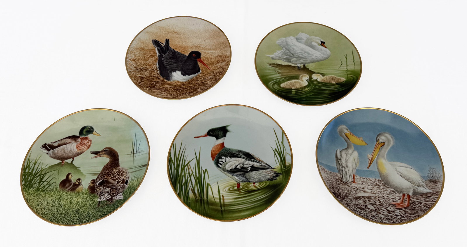 Set of 5 Danbury Mint Waterbird Plates: Danbury Mint Bavarian Porcelain - Pelican, Red Breasted Merganser, Oyster-Catcher, Mute Swan, & Mallard