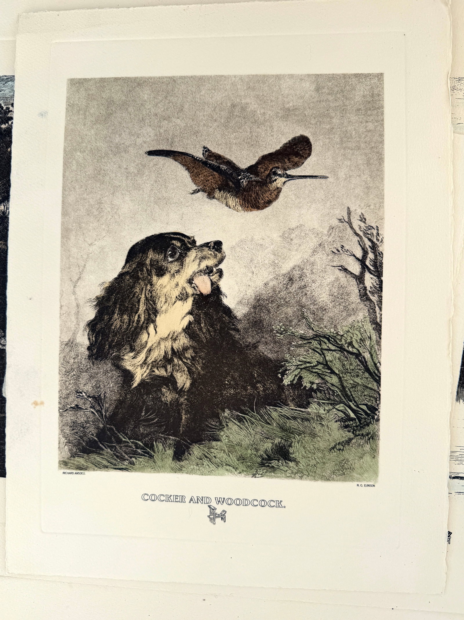Cocker & Woodcock by Ansdell Colorized Lithograph (1 of 1)