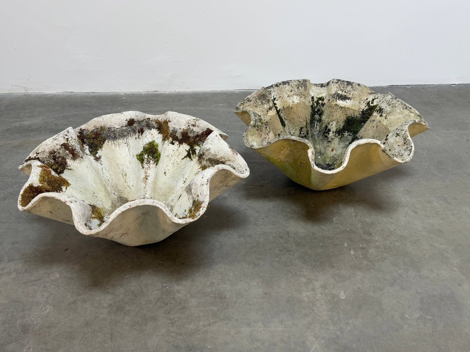 Pair of Tall Clamshell Planters by Willy Guhl: A stunning pair of large clamshell planters by Willy Guhl, crafted in fiber cement. Their sculptural, organic form and aged patina make them perfect for a statement garden or interior. Height: 14 in. 