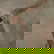 item-208615649=9