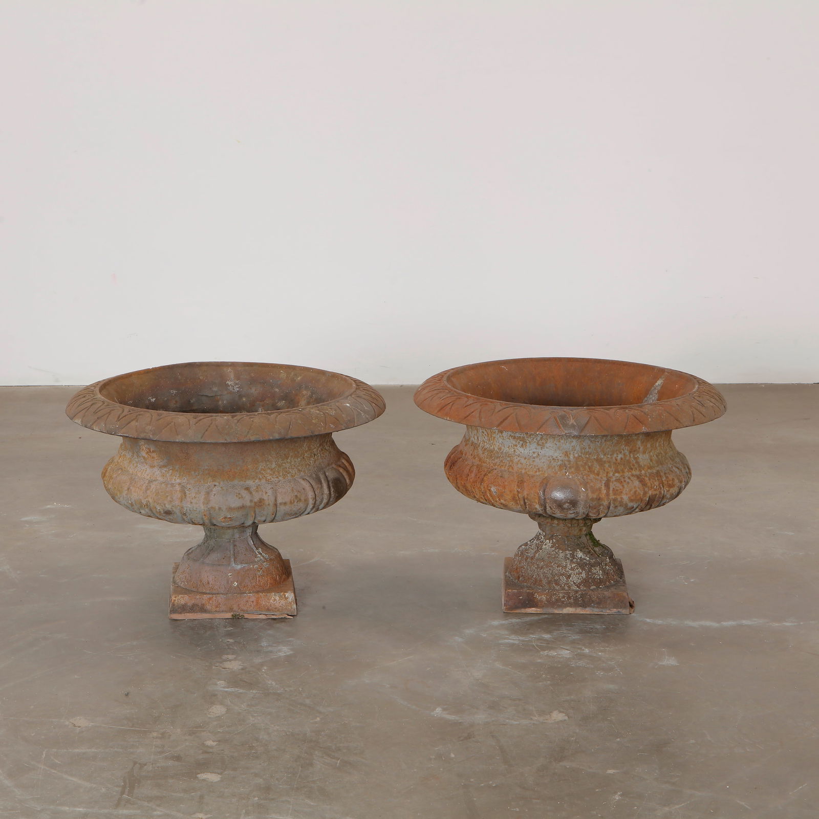 Pair of Large 19th Century Cast Iron Planters (1 of 8)