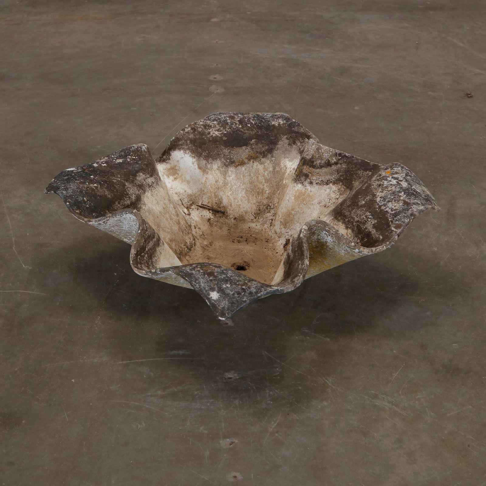 Willy Guhl, Small Elephant Ear Planter, 1960s: Small Elephant Ear planter, also known as handkerchief planter, by Willy Guhl for Eternit, Switzerland circa 1960. Factory-drilled drainage holes. Wonderful patina. Height: 8 in. Width: 26 in. Depth: