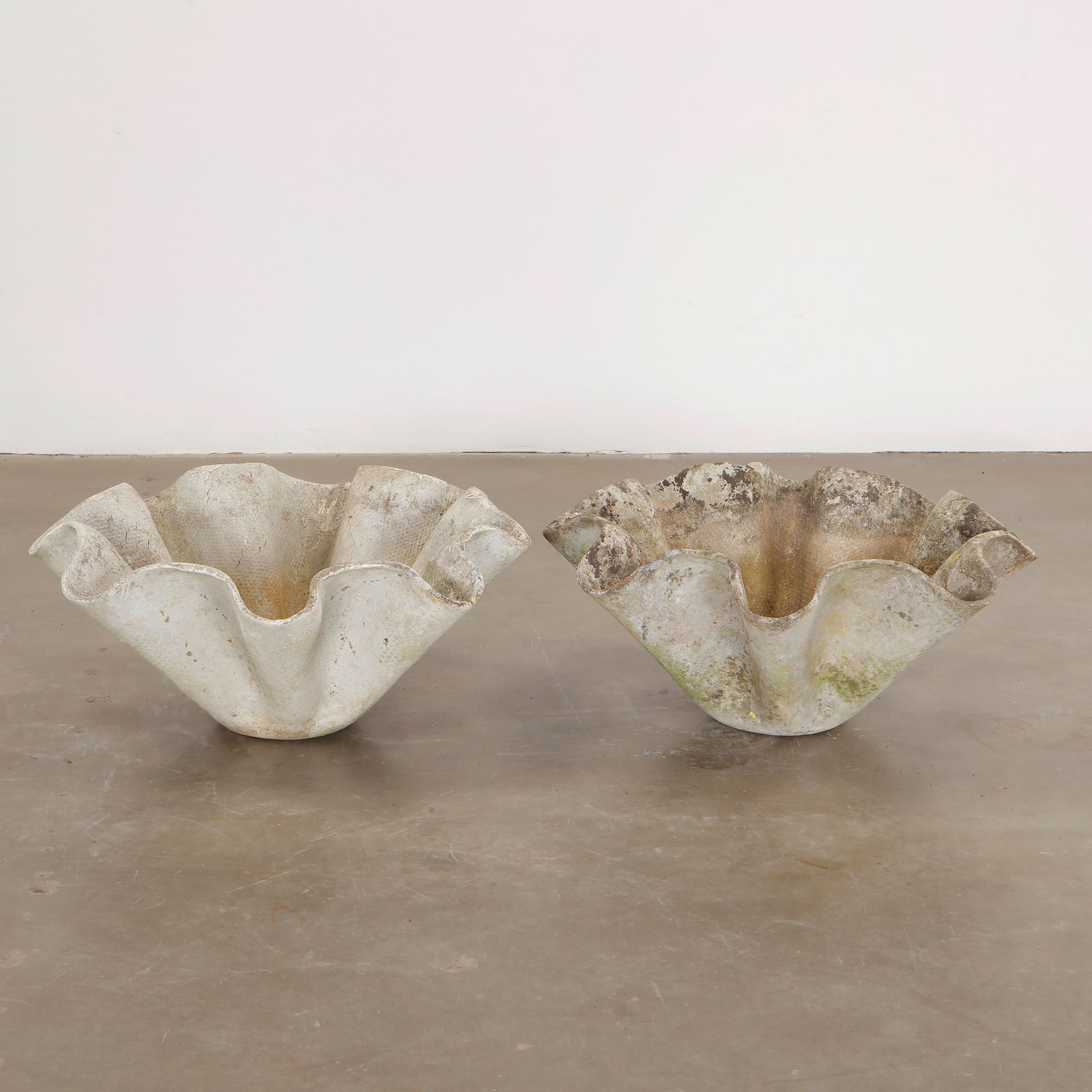 Willy Guhl, Pair of Large Clamshell Planters, 1960s: A stunning pair of large clamshell planters by Willy Guhl, crafted in fiber cement. Their sculptural, organic form and aged patina make them perfect for a statement garden or interior. Diameter: 31 in