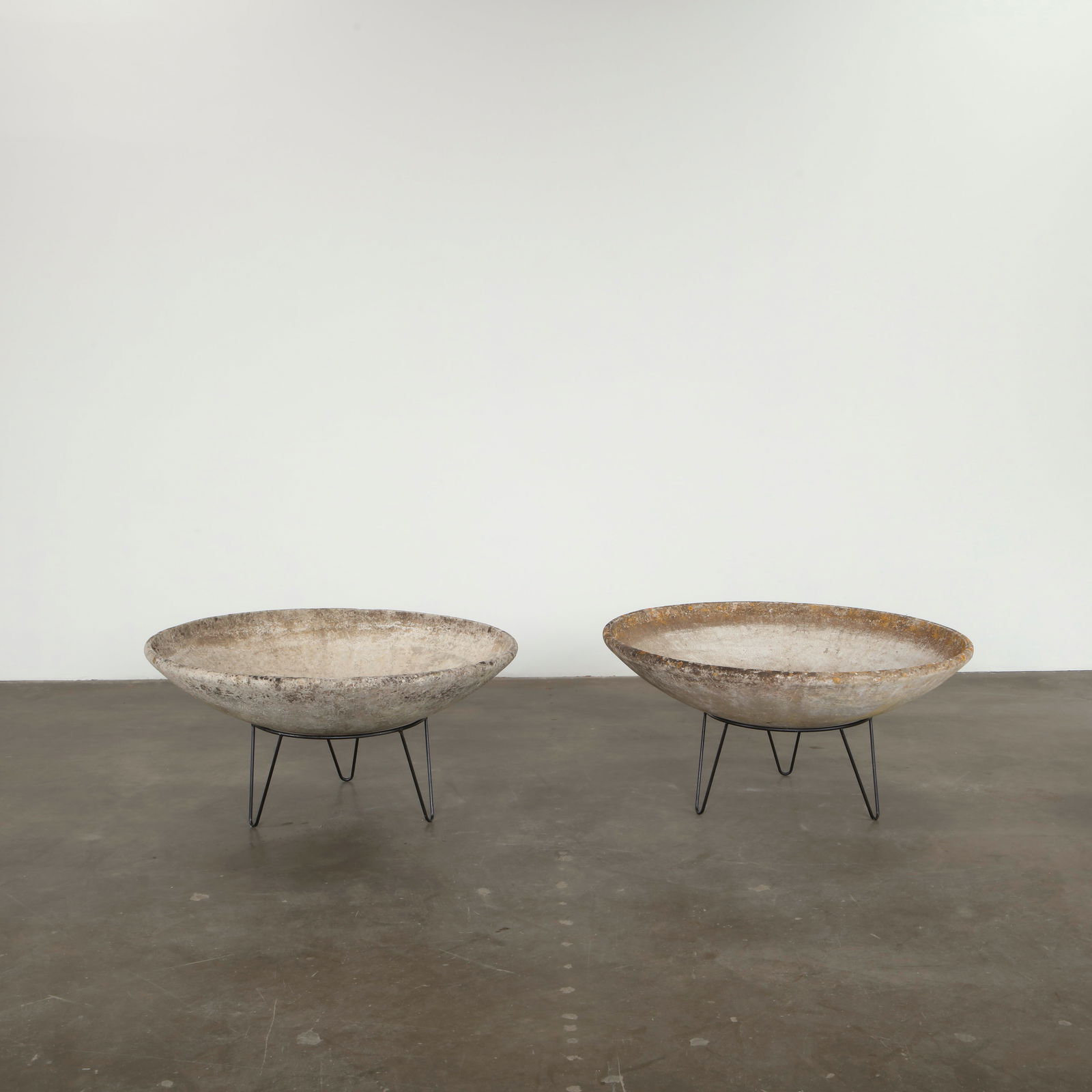 Willy Guhl, Pair of Large Bowl Planters on Stands, 1960s: Each planter presents a shallow circular bowl in concrete resting on slender black metal legs. Designed by Willy Guhl, these pieces exemplify his sculptural approach to functional outdoor forms. Their