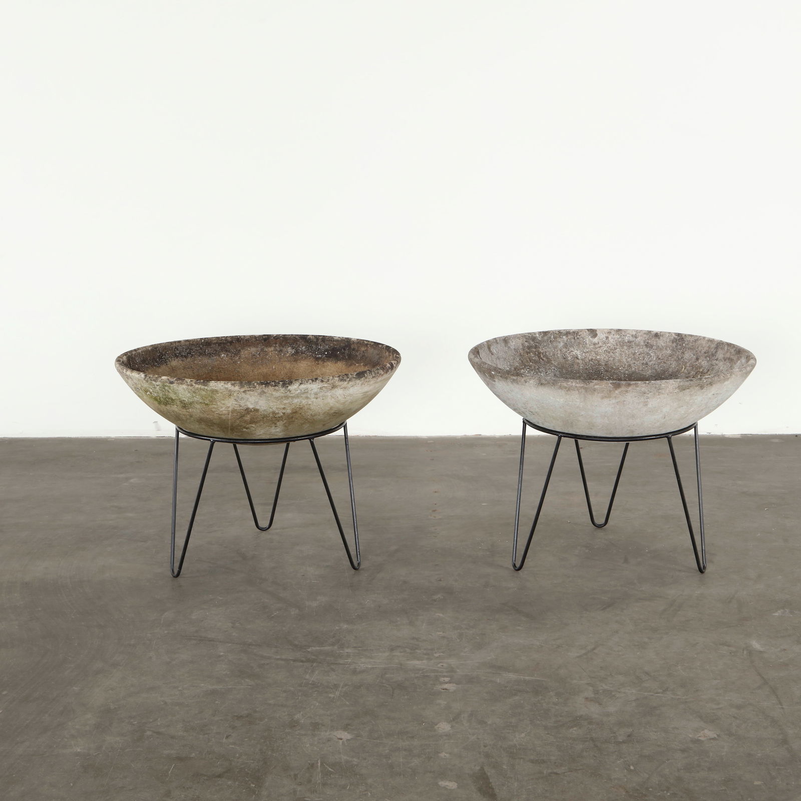 Willy Guhl, Pair of Bowl Planters on Stands, 1960s: Each planter presents a shallow circular bowl in concrete resting on slender black metal legs. Designed by Willy Guhl, these pieces exemplify his sculptural approach to functional outdoor forms. Their