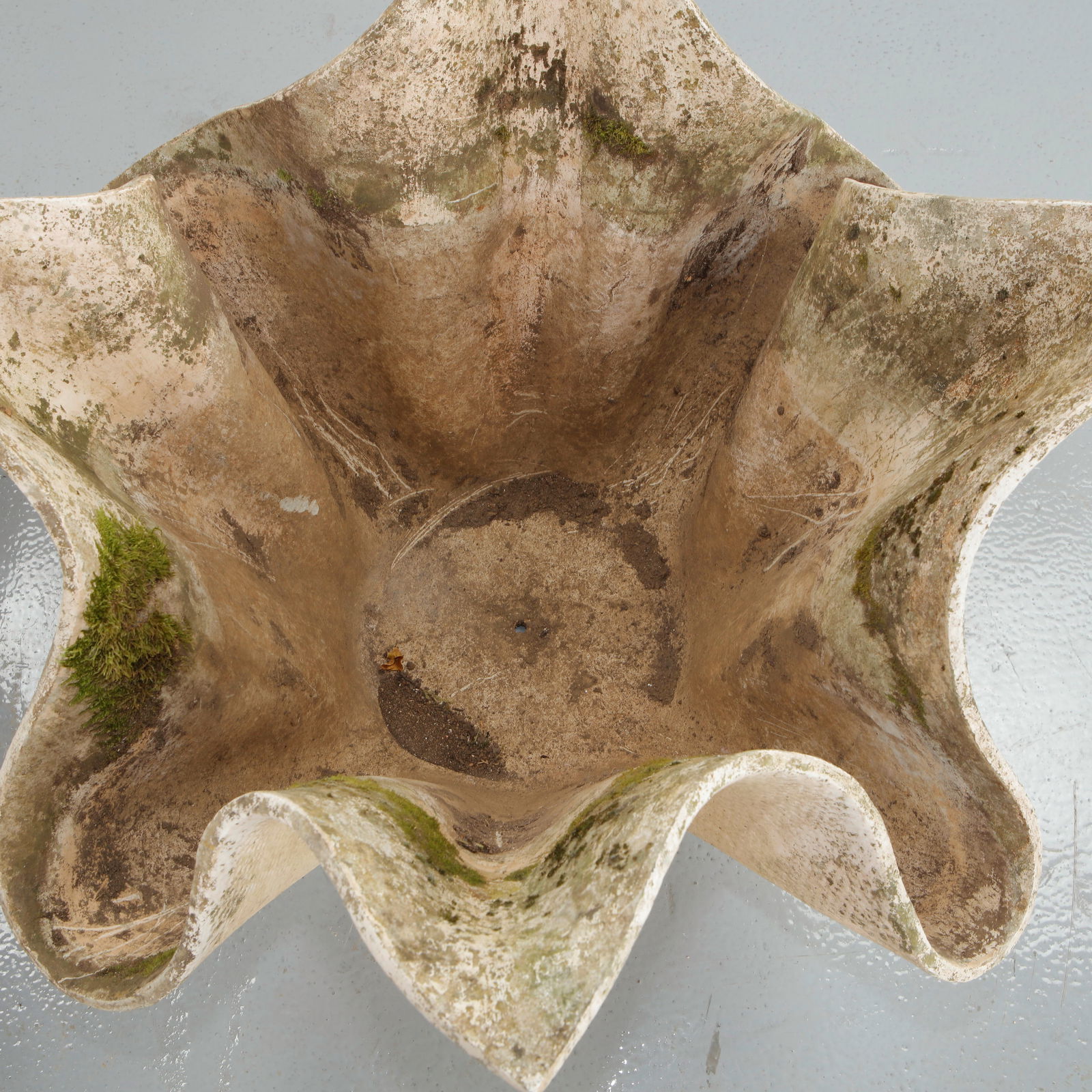 Willy Guhl, Pair of Large Tulip Planters, 1960s - 5