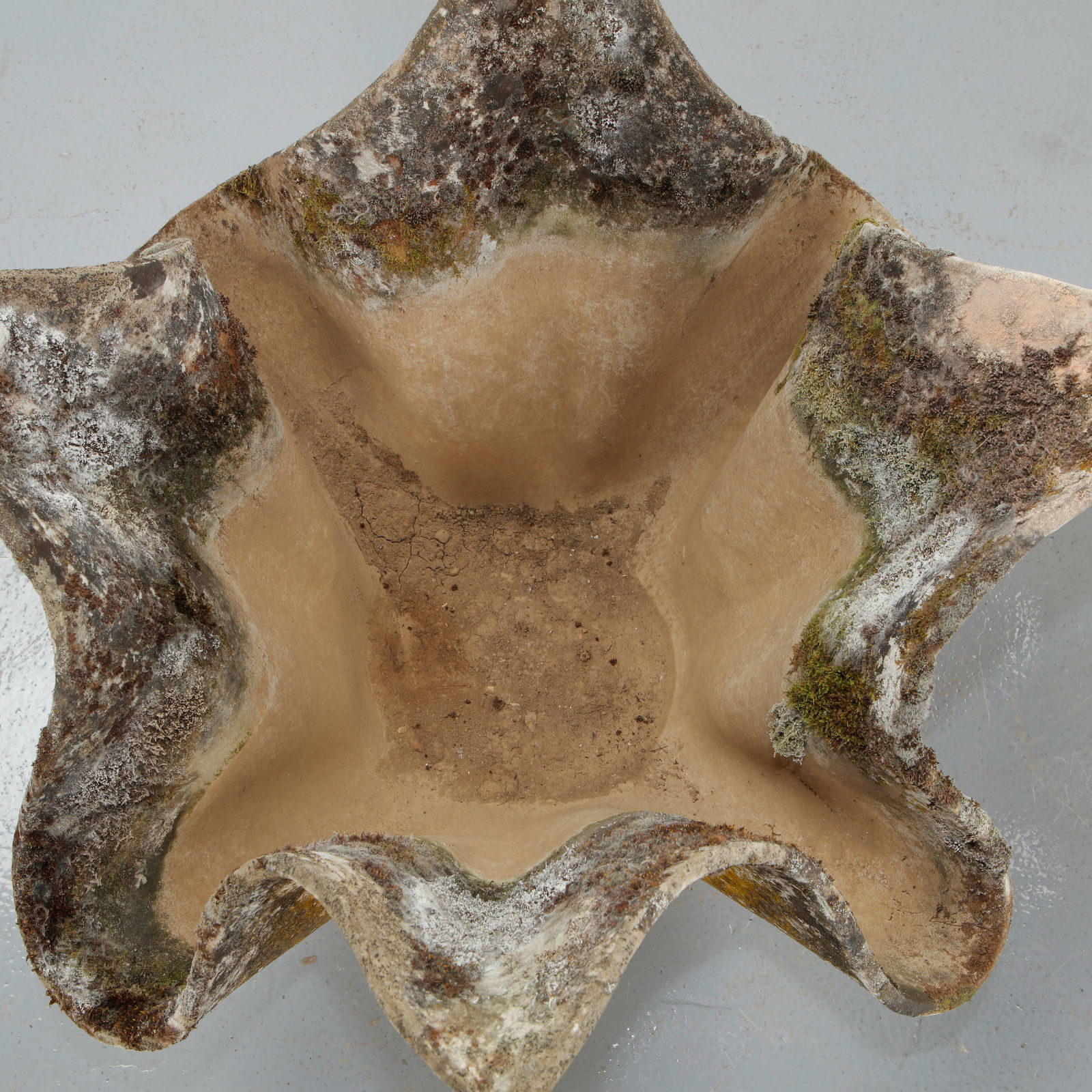 Willy Guhl, Pair of Large Tulip Planters, 1960s - 6