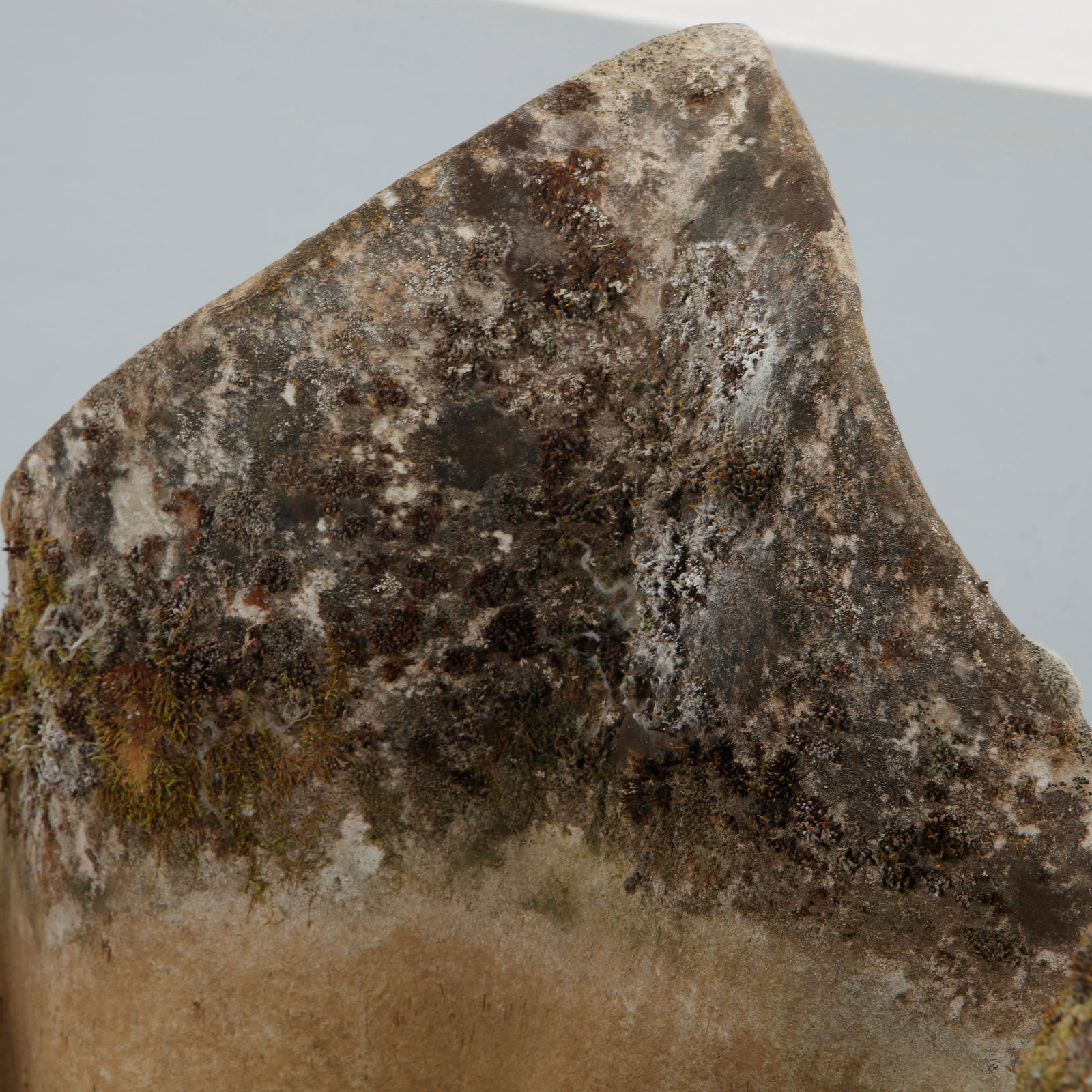 Willy Guhl, Pair of Large Tulip Planters, 1960s - 7