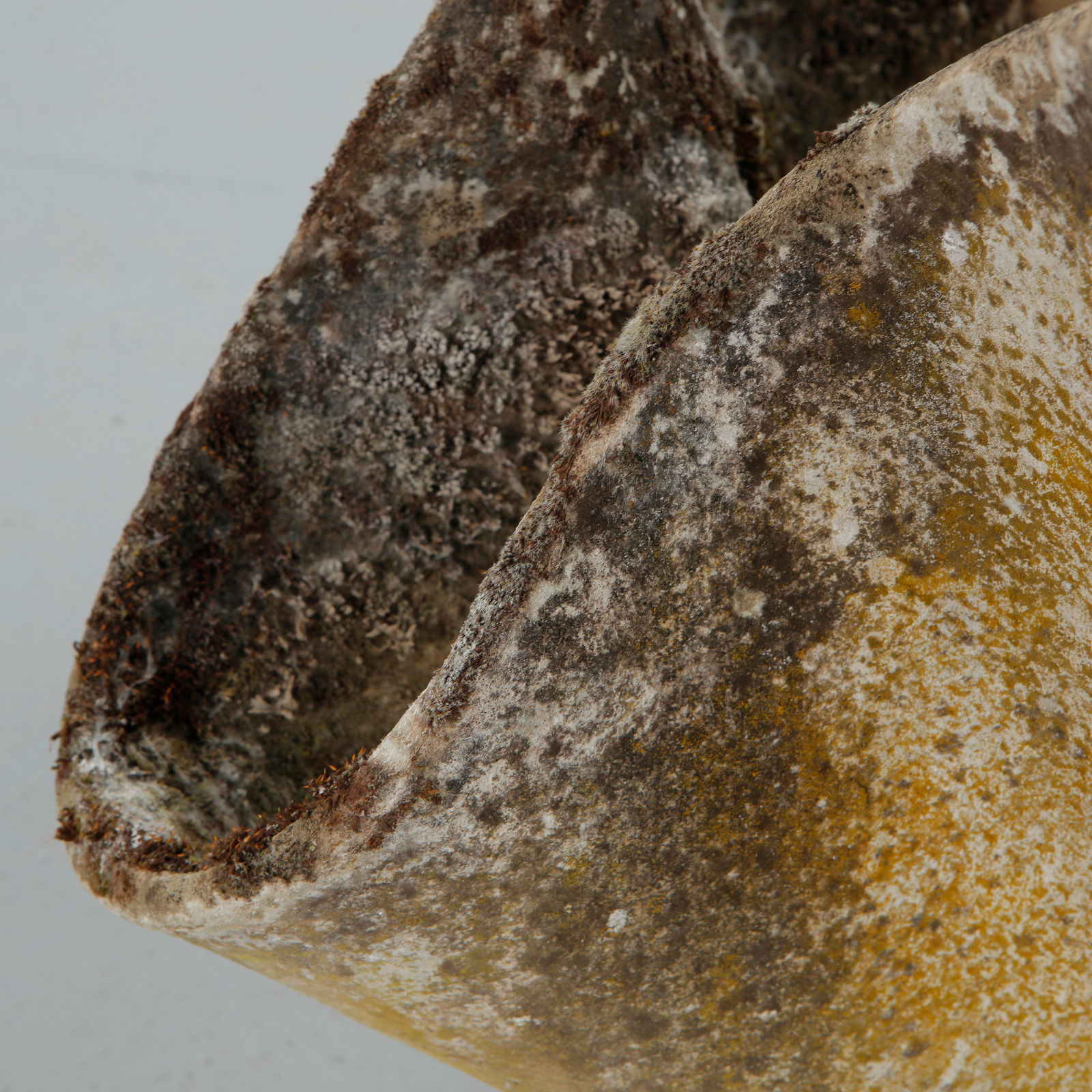 Willy Guhl, Pair of Large Tulip Planters, 1960s - 8