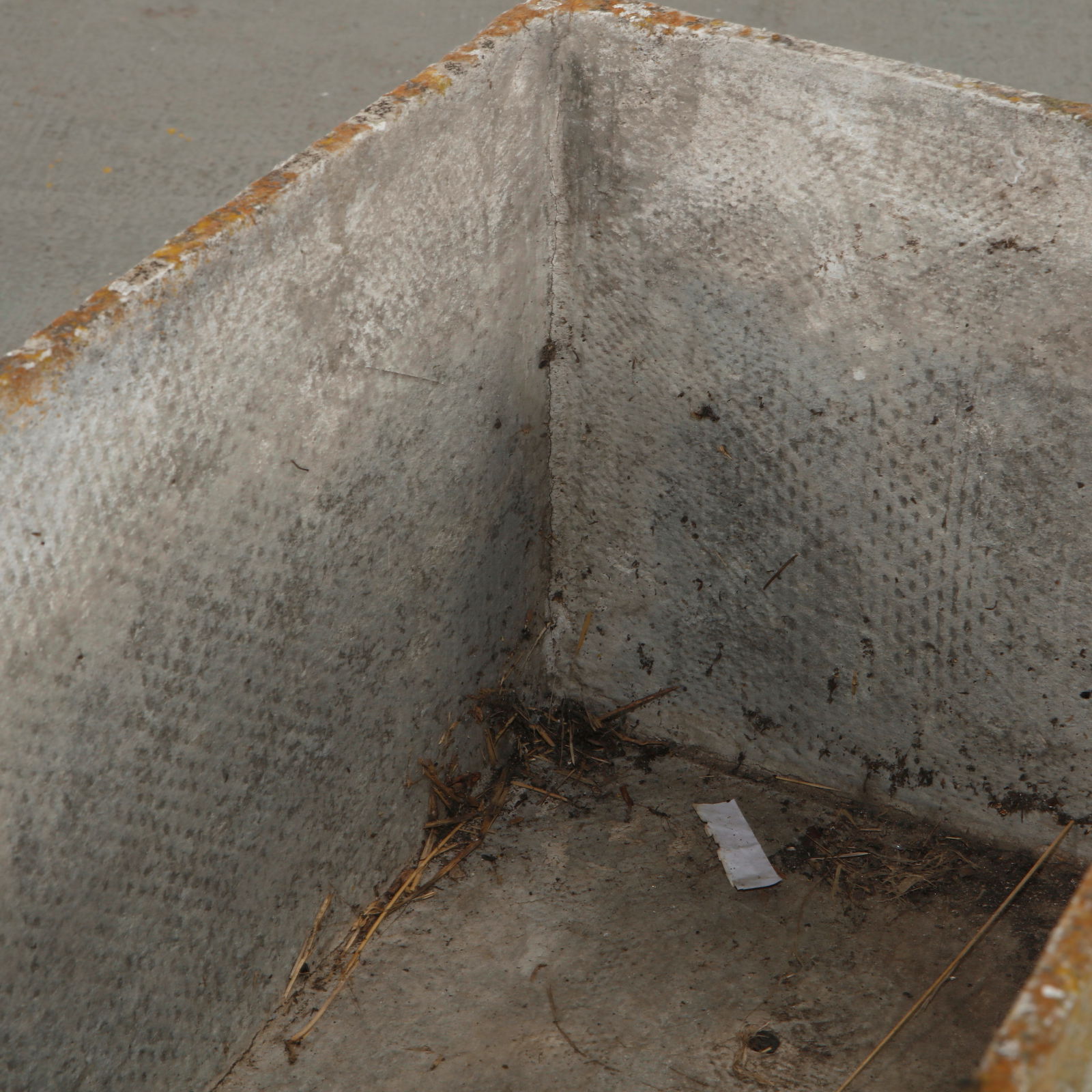 Willy Guhl, Large Rectangular Planter, 1960s - 10