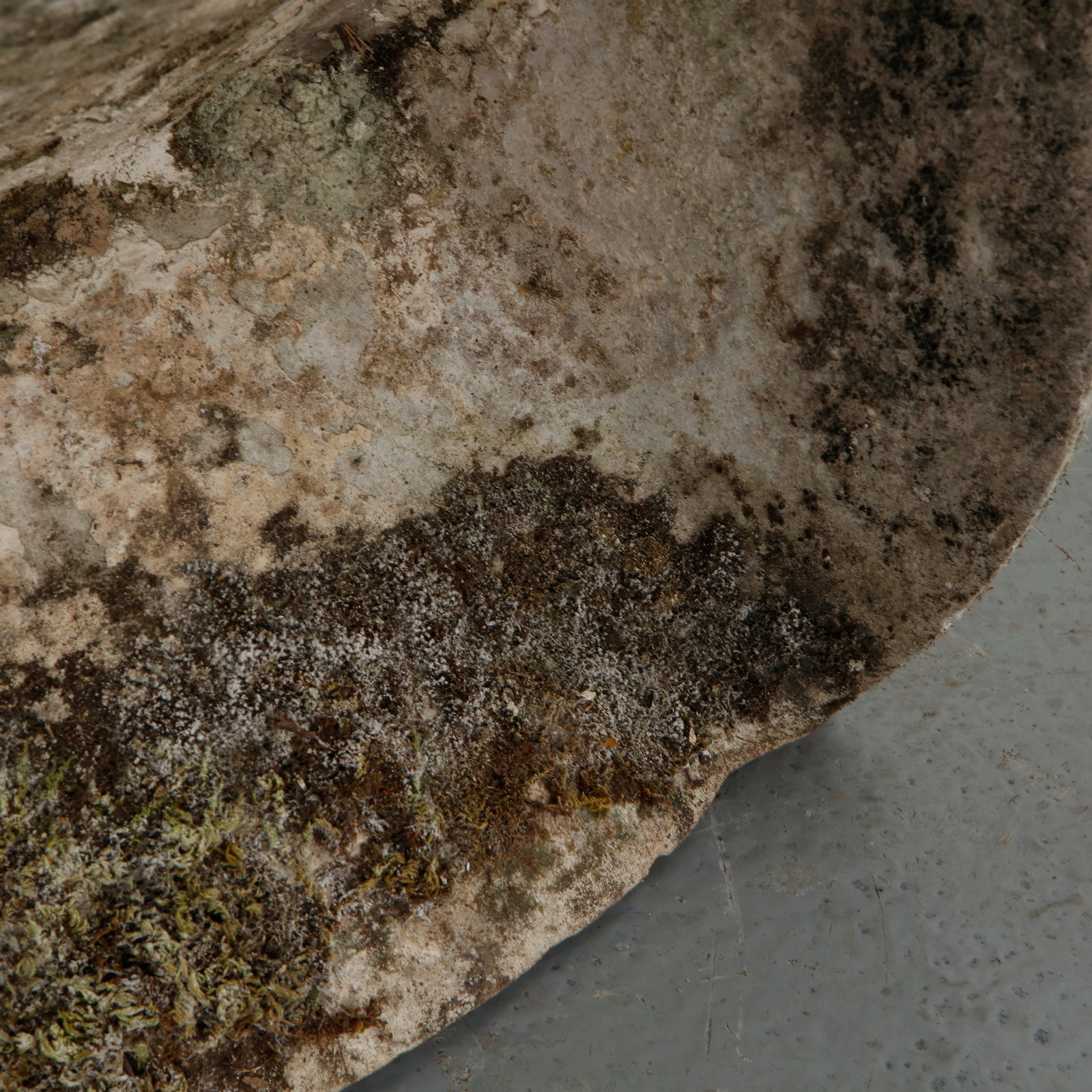 Willy Guhl, Freefrom Planter, 1960s - 16