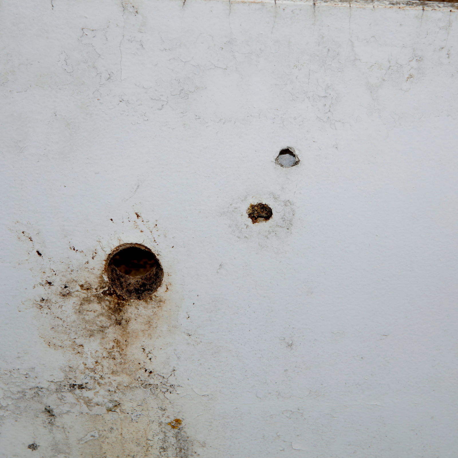 Willy Guhl, Large Rectangular Planter, 1960s - 12