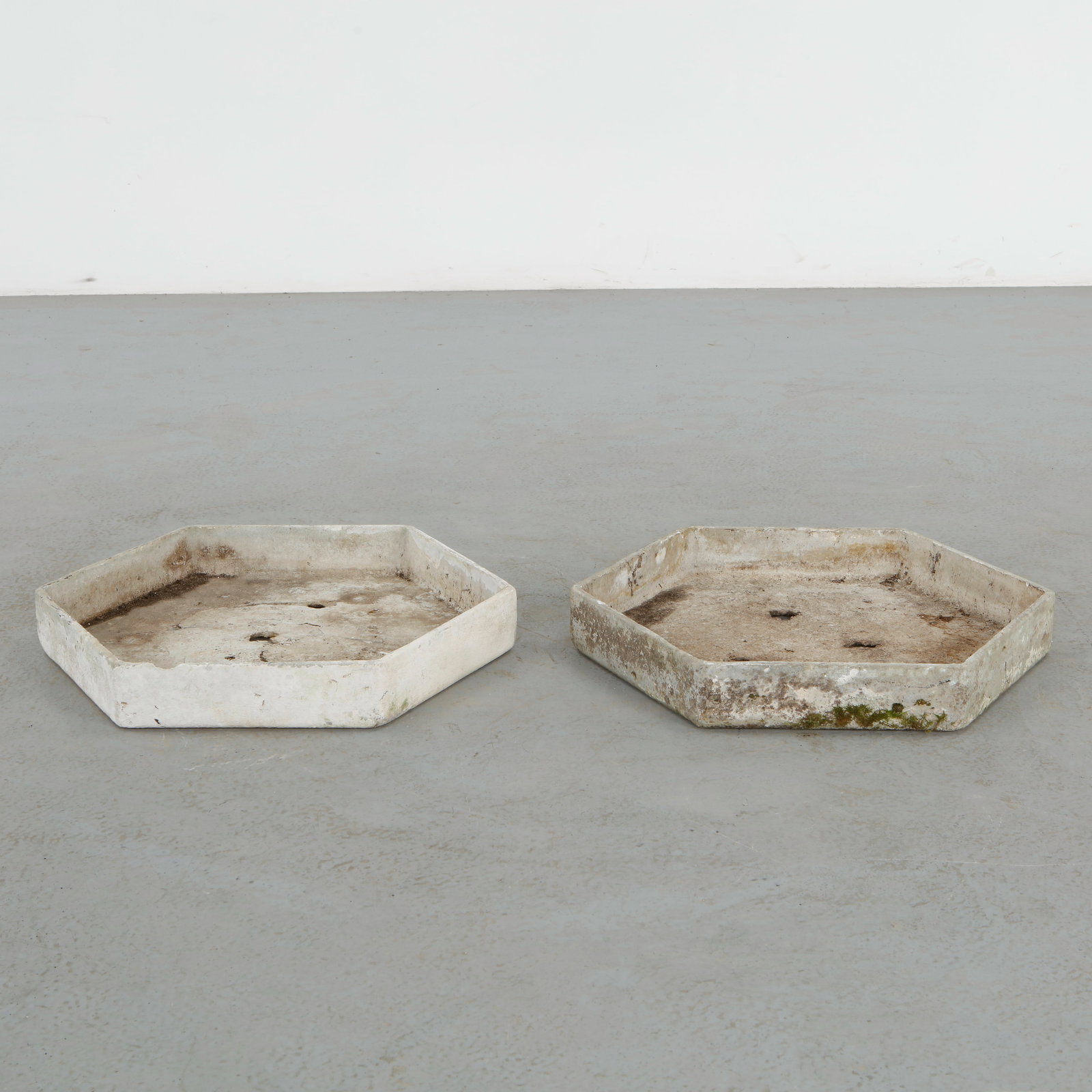 Willy Guhl, Pair of Hexagonal Tray Planters, 1960s (1 of 13)