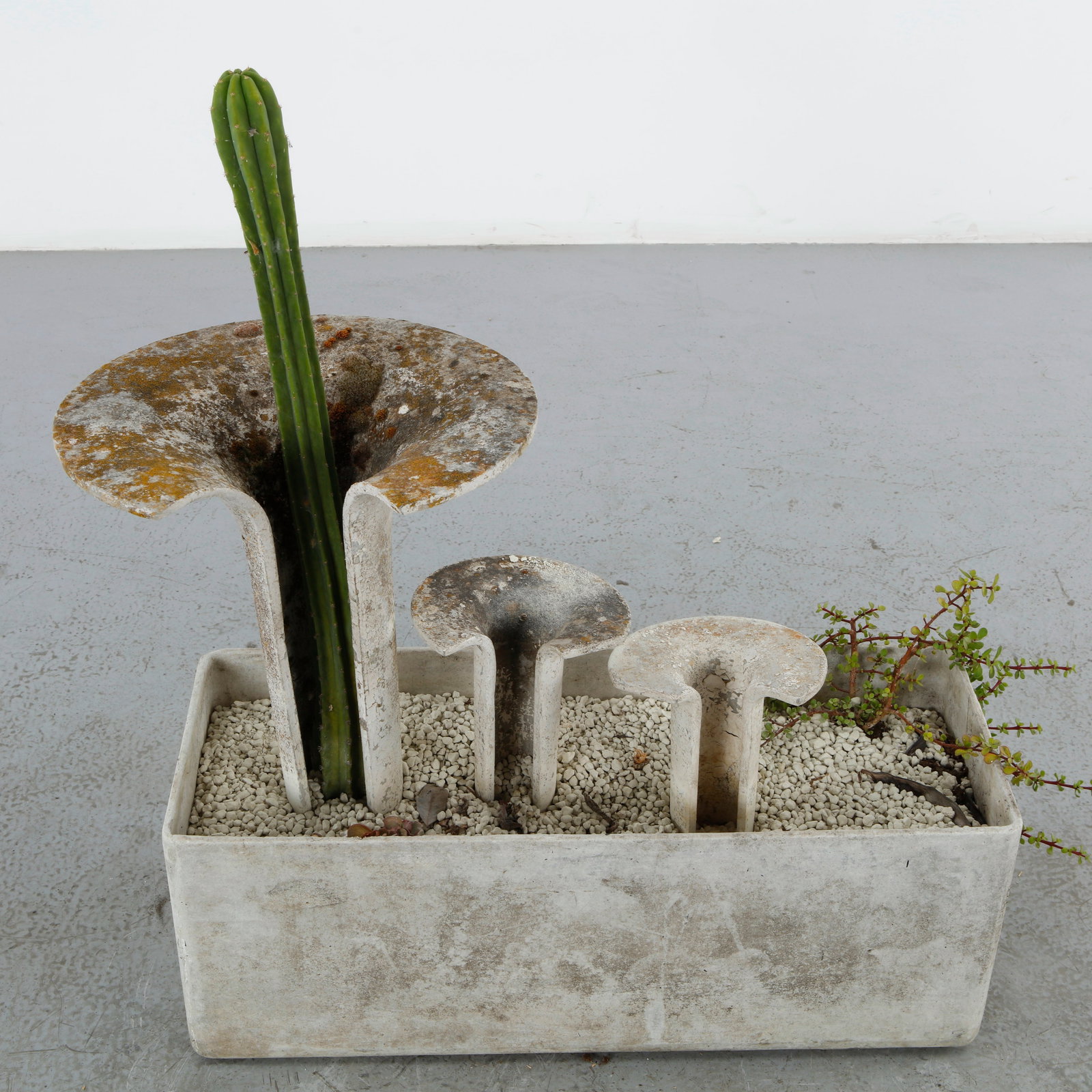 Willy Guhl, Set of Three Trumpet Concrete Planters, Graduated Sizes (1 of 13)