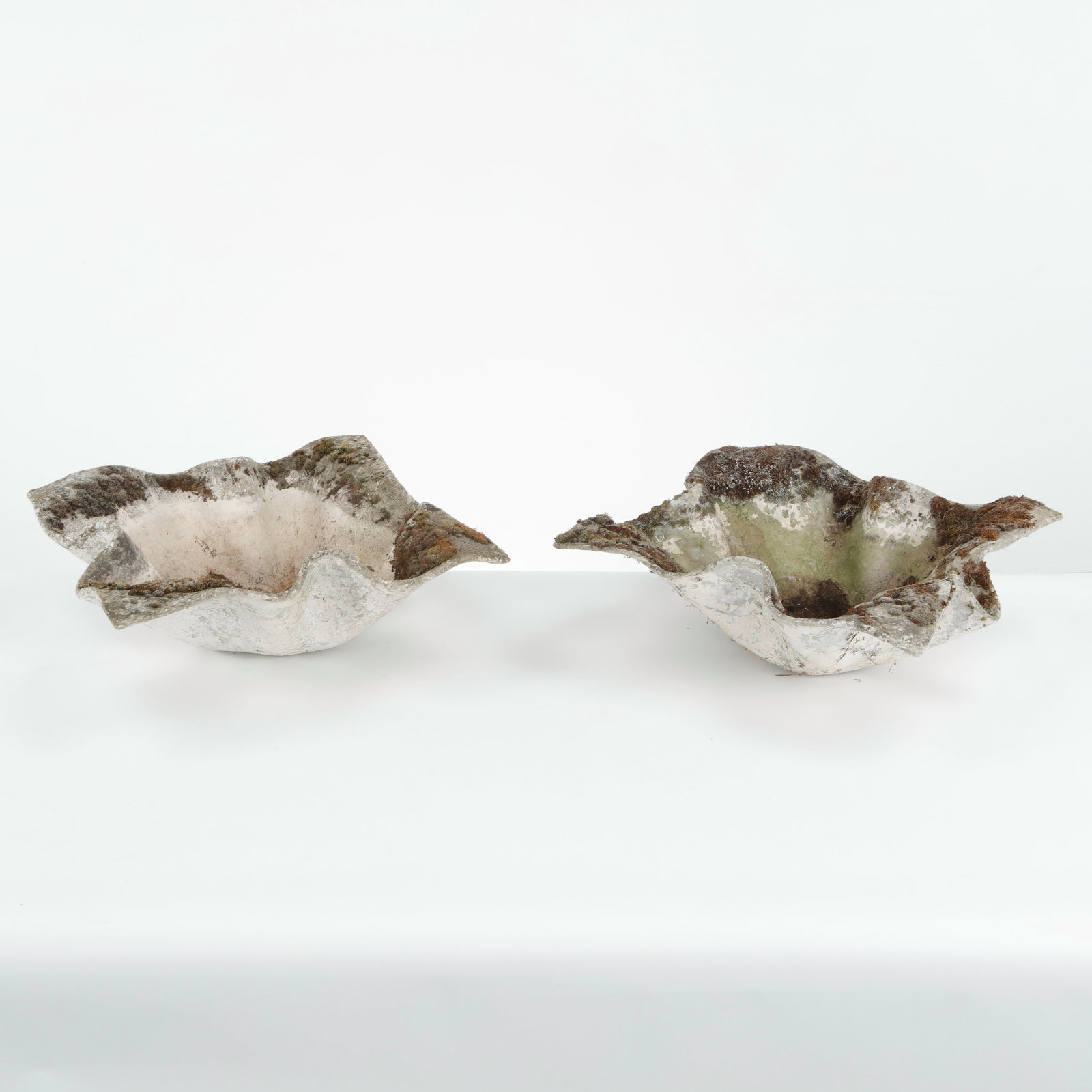 Willy Guhl, Pair of Small Elephant Ear Planters, 1960s (1 of 14)