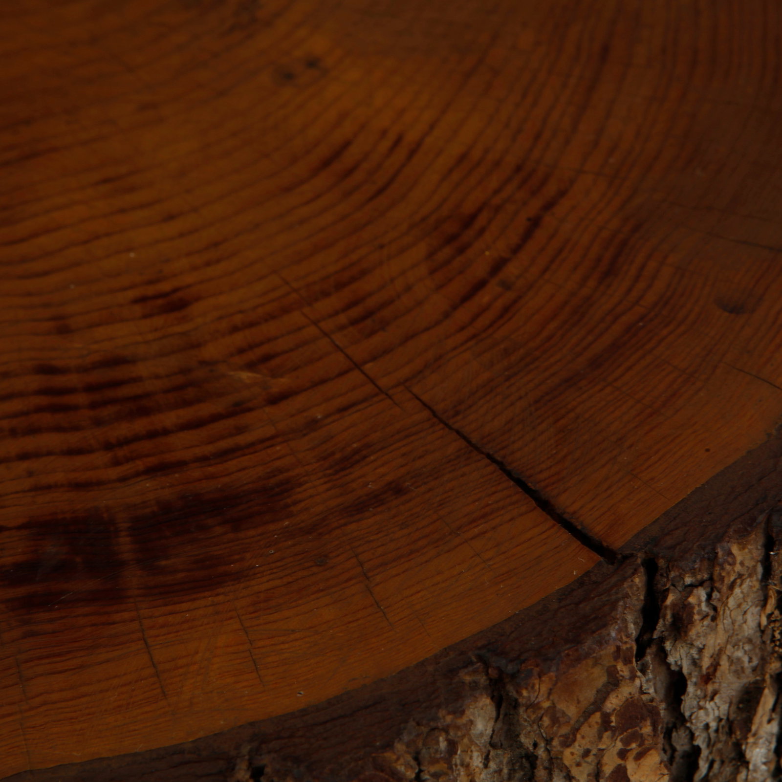 Rustic Tree Trunk Side Table, 1960s - 7