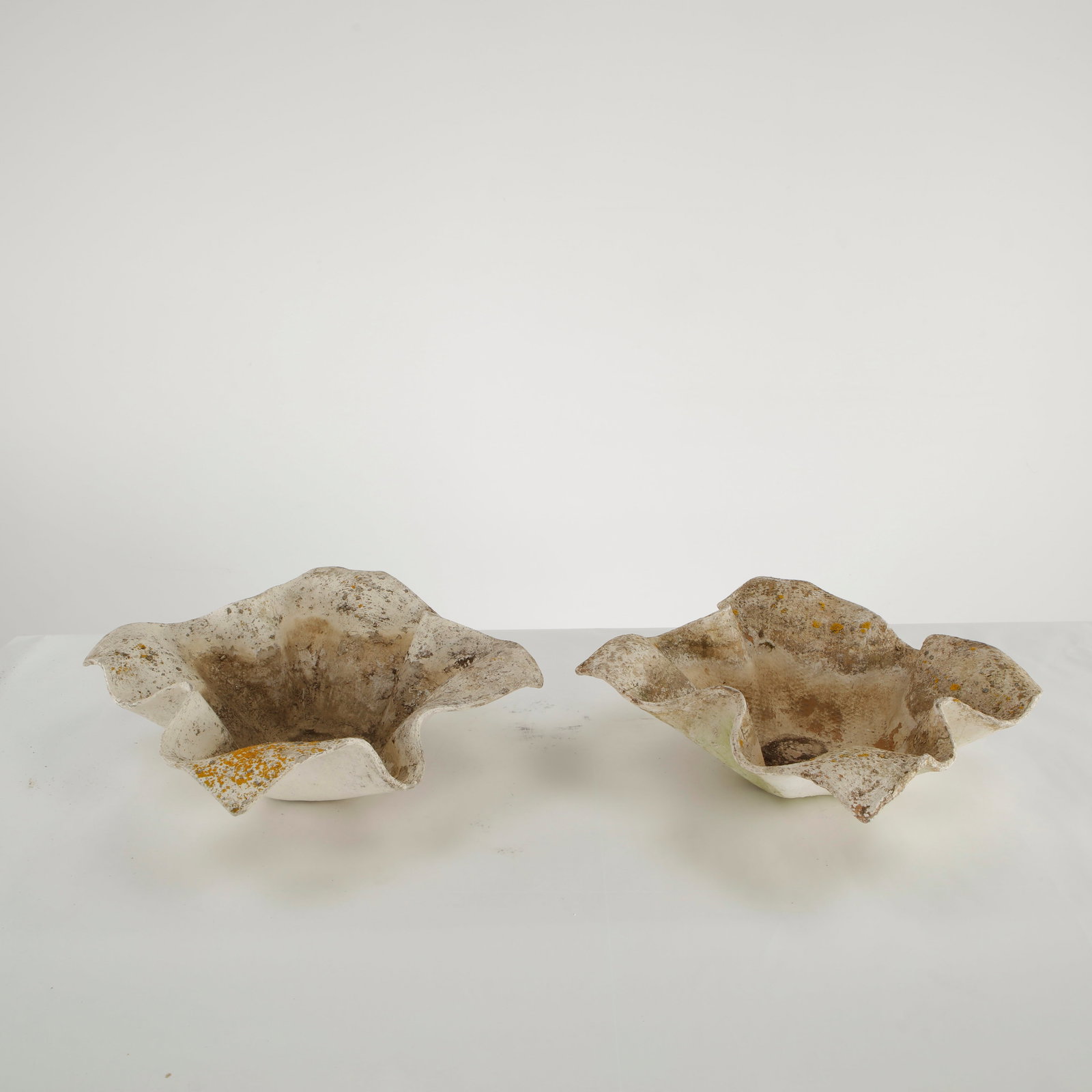 Willy Guhl, Pair of Small Elephant Ear Planters, 1960s (1 of 14)