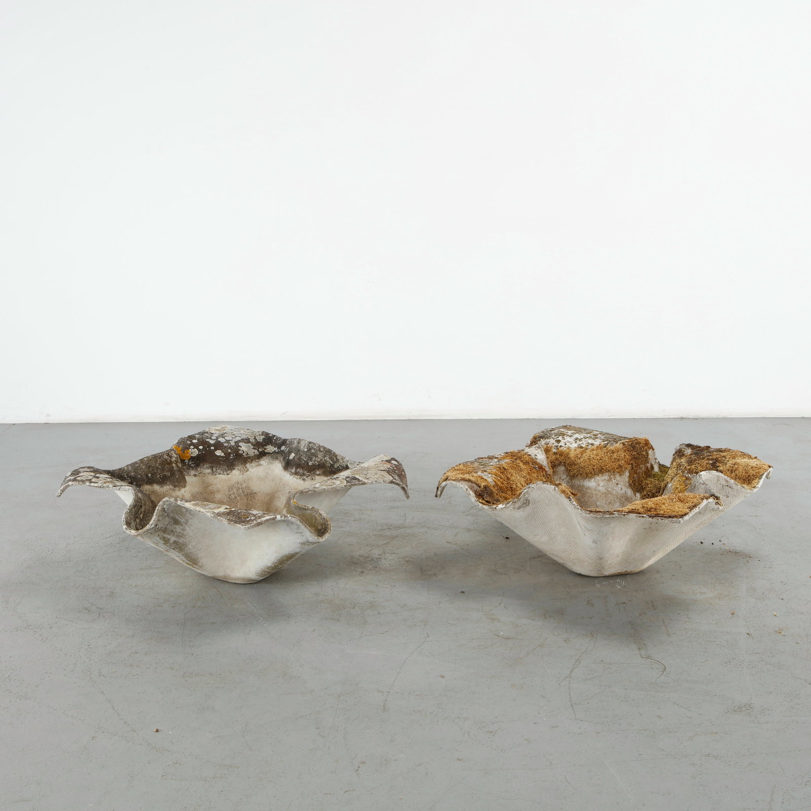 Willy Guhl, Pair of Large Elephant Ears Planters, 1960s (1 of 15)