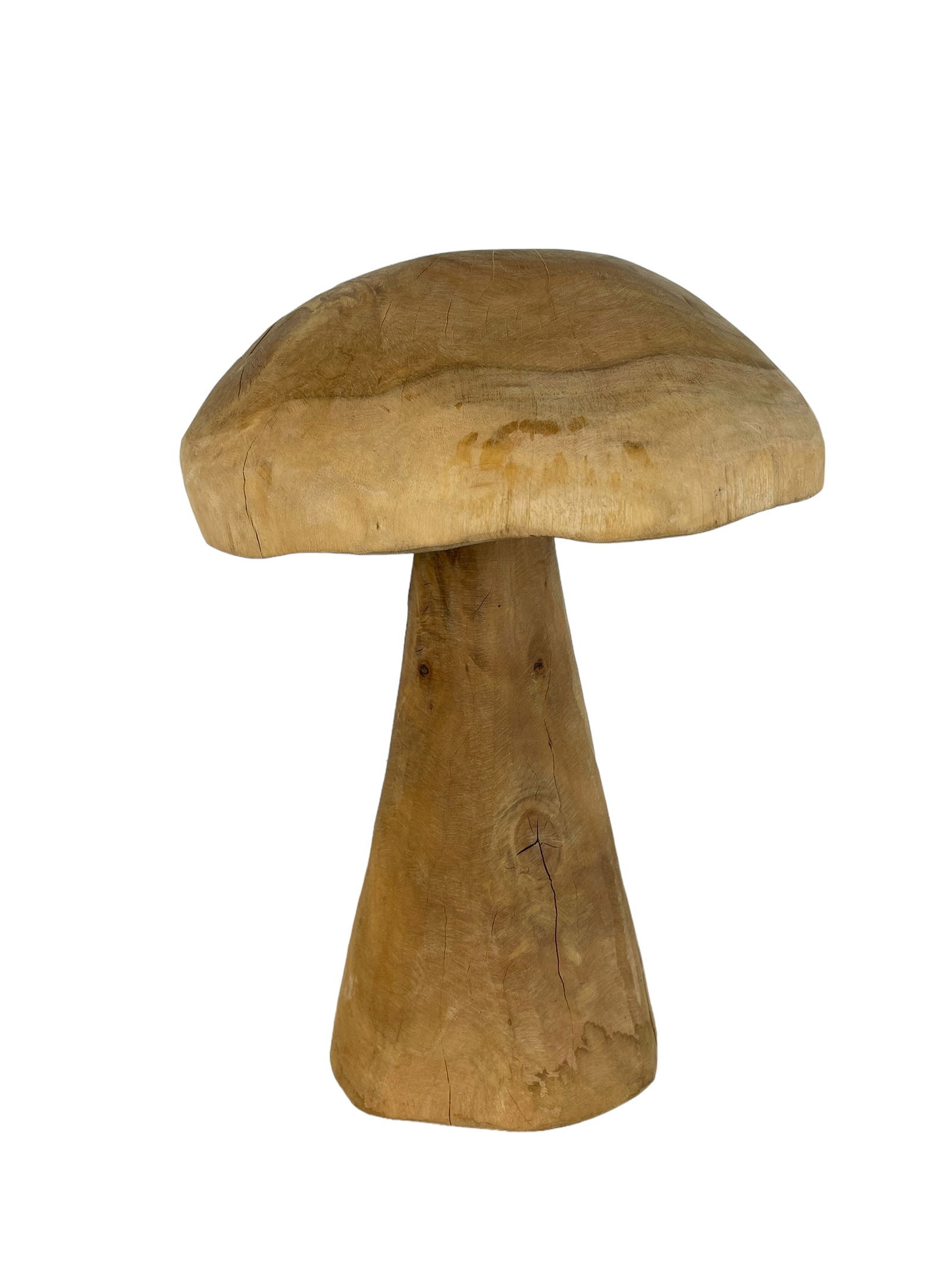 Eucalyptus Mushroom Sculpture Large (1 of 5)