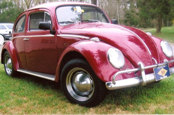 1964 VW Beetle - 2
