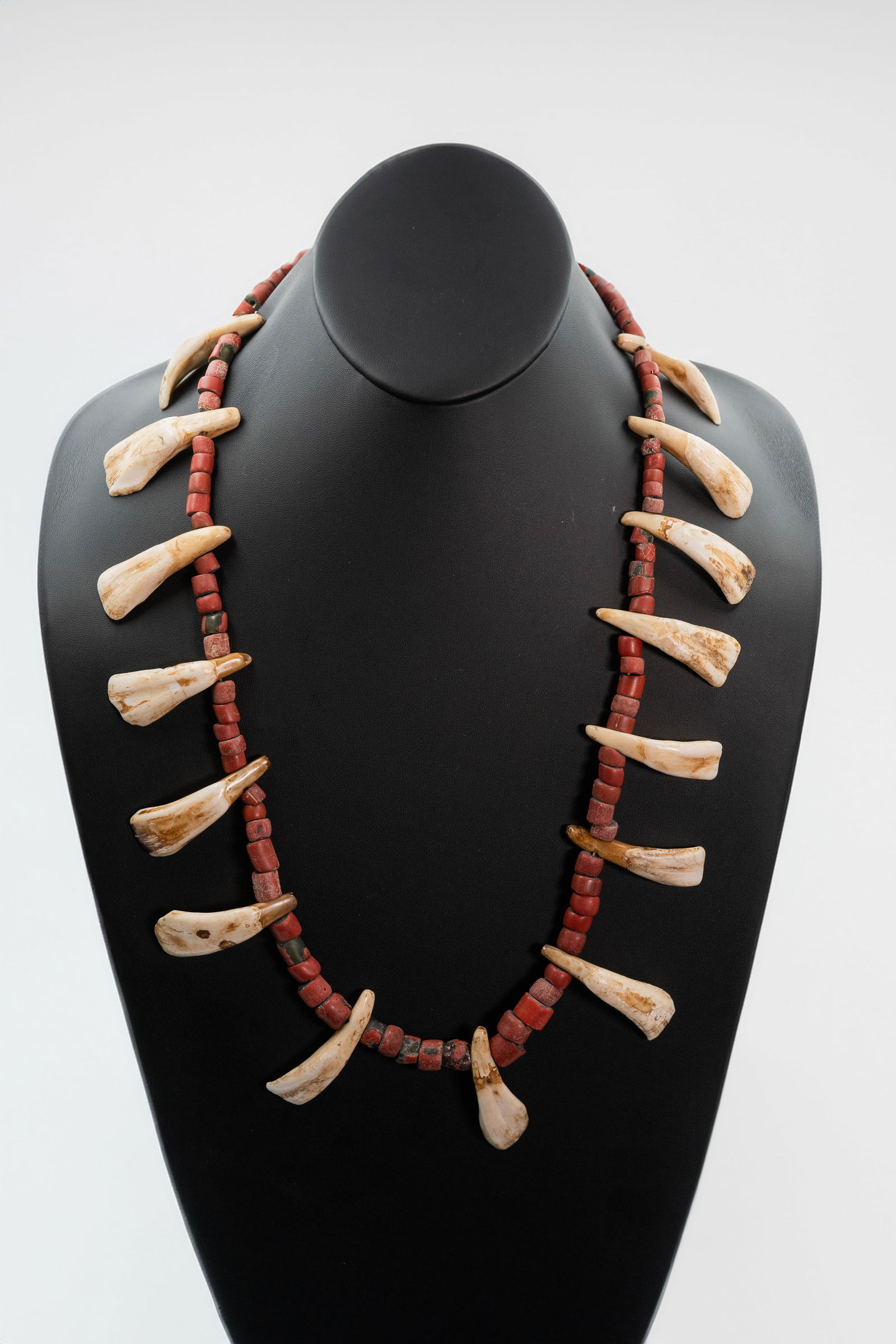 Buffalo Teeth and Clay Beads Artifacts: Native American Vintage Artifact Buffalo Teeth and Clay Bead ceremonial necklace. The necklace is 31" long. teeth size vary from L 2 1/2" x 1/2" W to L 2 1/2" x1" W. This a rare and highly collectable