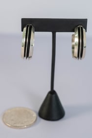 Sleek Contemporary Fashion Earrings