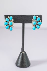 Sonoran Beauty Turquoise Post Earrings