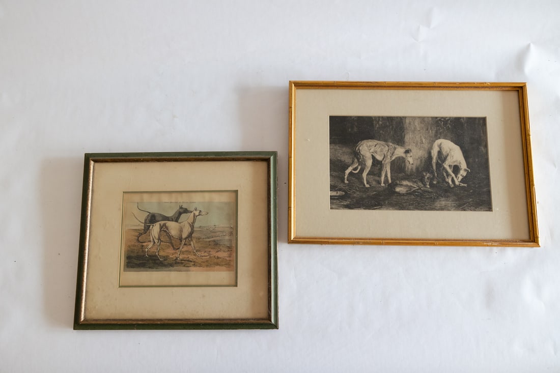 Framed Prints of Dogs (1 of 3)