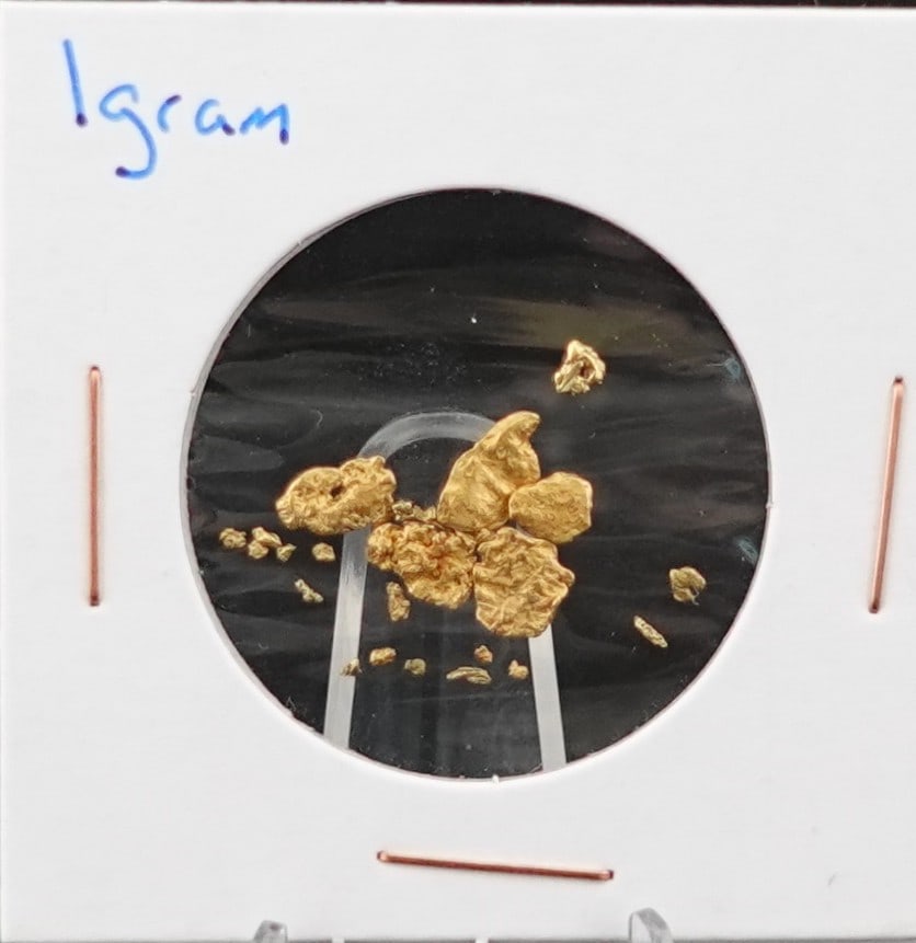 1 Gram of Yukon Gold Nuggets: Acid Tested to be above 22k Gold! Low Estimate: 150 High Estimate: 200