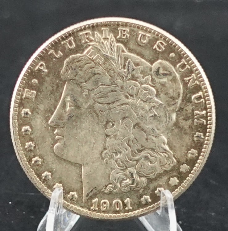 1901 Morgan Dollar (1 of 2)