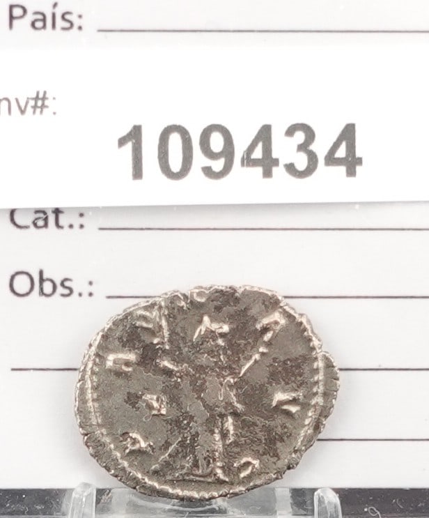 Gallinus Roman Coin - 2